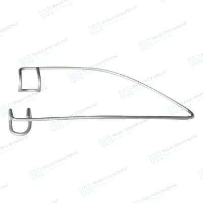 Anatomical Model for Medical Education-Stainless Steel Ophthalmic