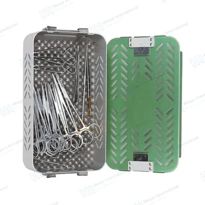 Soft Tissue Anatomical Model German Stainless Steel Dissecting