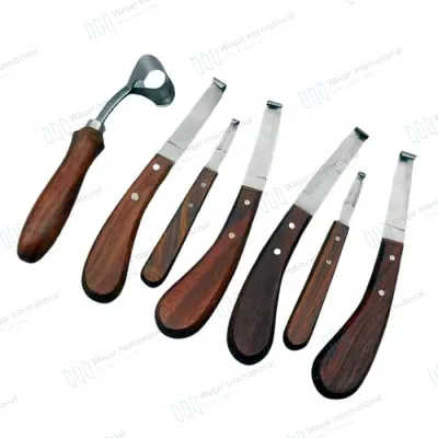 Veterinary Instruments Stainless Steel Anatomical Model Wood Handle