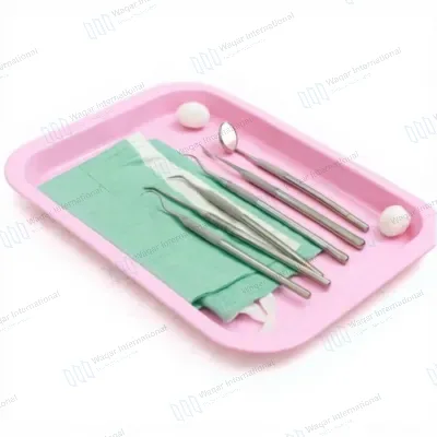 Stainless Steel Surgical Tray for Dental Lab Instruments Holder
