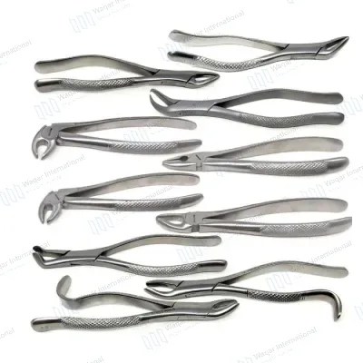 Extracting Forceps Set Dental Instruments for Tooth Surgery