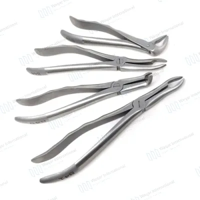 6-Piece Horse Veterinary Extracting Forceps Set Root Tip Instruments