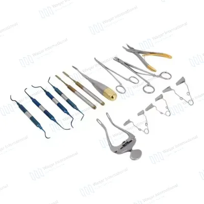 Small Animal Veterinary Dental Instrument Set