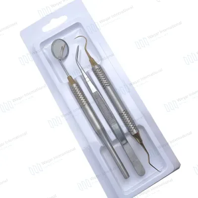 Stainless Steel Dental Hygiene Tool Kit Removal