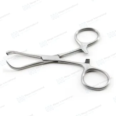 Stainless Steel Backhaus Towel Clamp Forceps