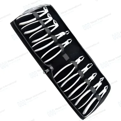 10pcs Dental Surgical Instruments Set Adult
