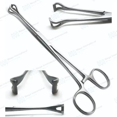Surgical Babcock Tissue Forceps Straight Size