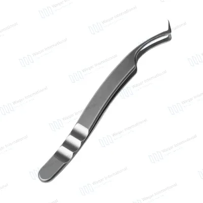 Beauty Eyelash Tweezers-Stainless Steel Customizable Color