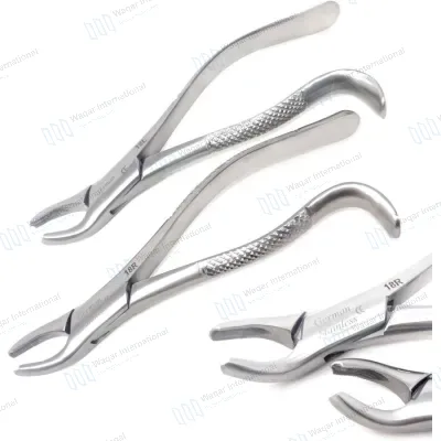 HOT SALES Stainless Steel Dental Extracting Forceps Set