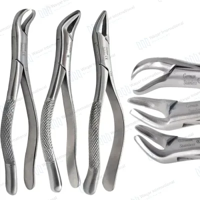 Stainless Steel Adult Tooth Extraction Dental