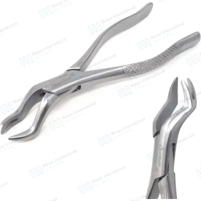 Stainless Steel Dental Extracting Forceps