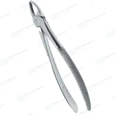 Stainless Steel Dental Forceps Tooth Extracting