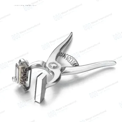 Stainless Steel Veterinary Tattoo Pliers for Pig Marking Sow