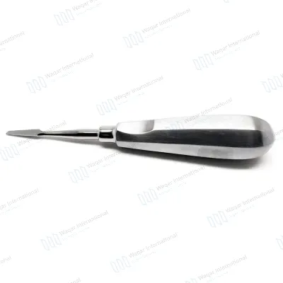 Dental Root Elevator Stainless Steel Surgical