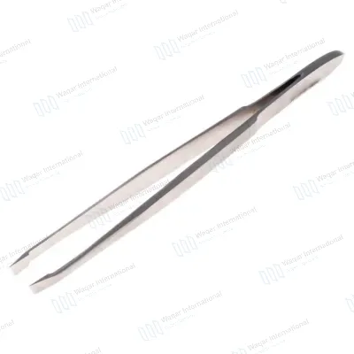 High Precision Slanted Stainless Steel Eco-Friendly Eyebrow Tweezers