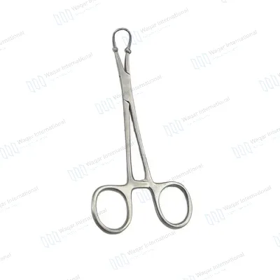 GORAYA GERMAN Dental Surgical Veterinary Backhaus Forceps
