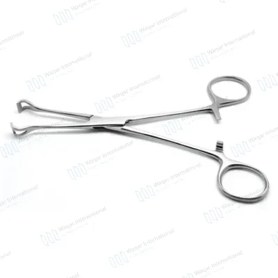 Babcock Tissue Forceps 7.25 Inch