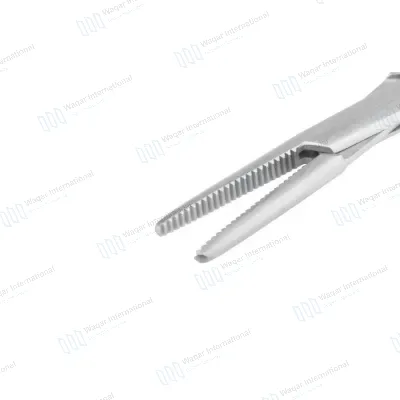 Spencer Wells Forceps 8 Inch Curved Stainless Steel Hemostatic