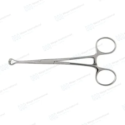 TC Babcock Forceps Stainless Steel Surgical Tissue