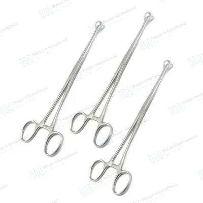 Babcock Forceps 8 Inch Stainless Steel Atraumatic Surgical Grasping