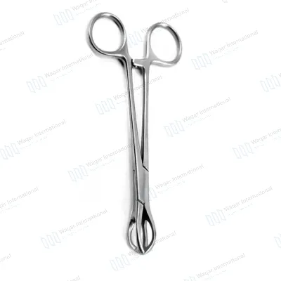 Lane Tissue Forceps 12cm Straight Stainless Steel Veterinary Surgical