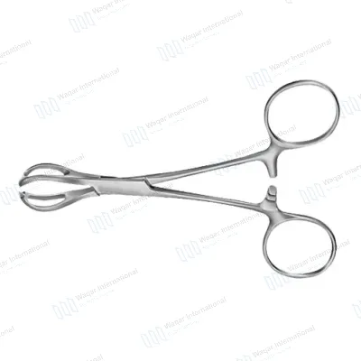 Lane Tissue Forceps Reusable Surgical Instrument