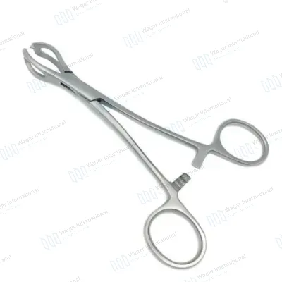 Stainless Steel Lane Tissue Forceps Veterinary