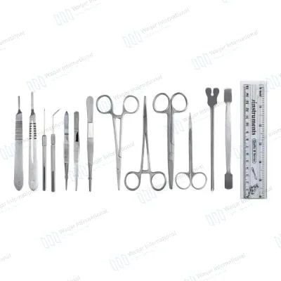 13 PCS Stainless Steel Surgical Practice Instrument