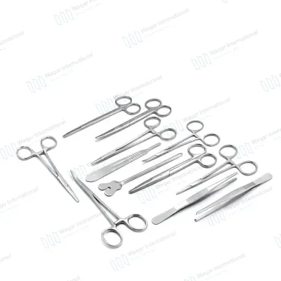 13 PCS Minor Surgical Instrument Set