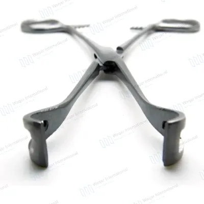 Babcock Tissue Forceps 8 Inch Medical