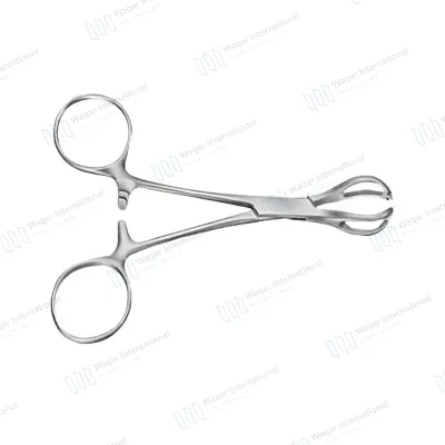 Lane Tissue Forceps Stainless Steel Surgical