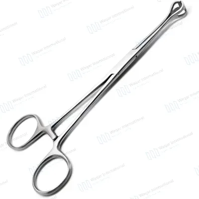 Stainless Steel 8 Inch Babcock Forceps Atraumatic Tissue