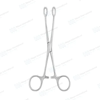 Foster Sponge Forceps 21cm Locking Dressing Clamp Precision Surgical