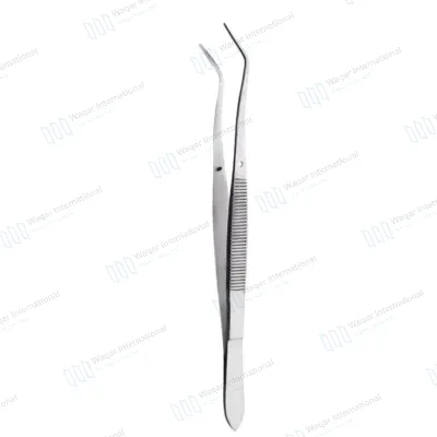 Dental Dressing Tweezers Precision Hand Instrument
