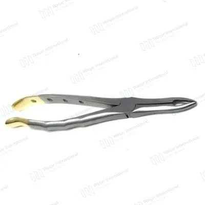 Stainless Steel 16cm Dental Extracting Forceps No