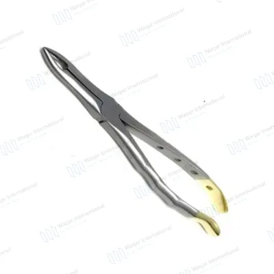 Dental Extracting Forceps No 16 16cm