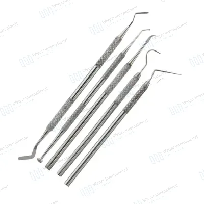 Double-Ended Dental Hygienist Sickle Scaler Curettes Machinery