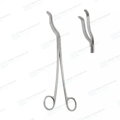 Stainless Steel Cheatle Forceps (10