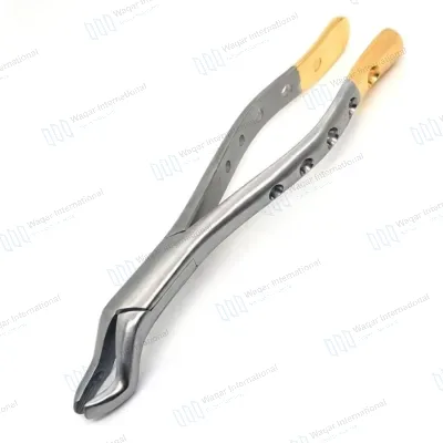 Dental Extraction Forceps 10S Gold Handle Stainless Steel Upper