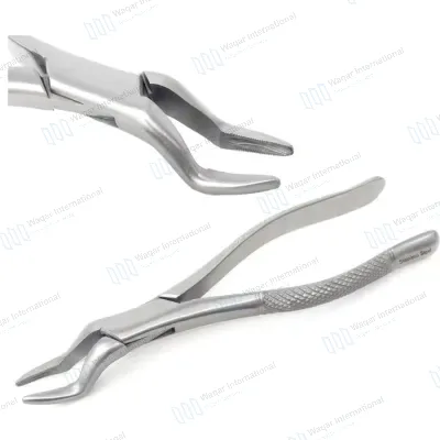 Dental Extraction Forceps Stainless Steel Universal Serrated Jaw Instrument