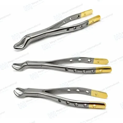 Dental Extracting Forceps Stainless Steel Oral Surgery Instrument