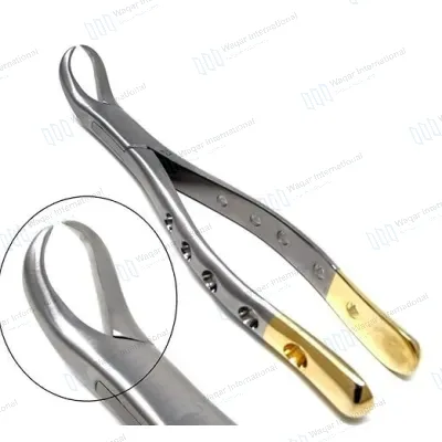 Dental Extraction Forceps Stainless Steel Serrated Jaw Tooth Extraction