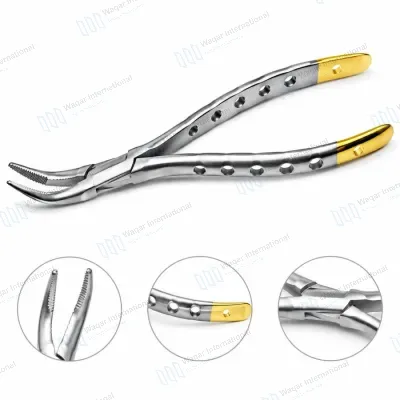 Dental Universal Extraction Forceps Stainless Steel Tooth Extraction Instrument