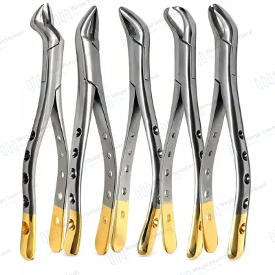 Dental Extracting Forceps Set 5PCS Gold Handle Tooth Extraction