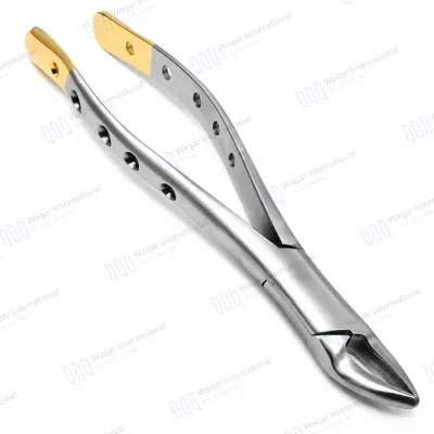 5 Piece Dental Extraction Forceps Set with Gold