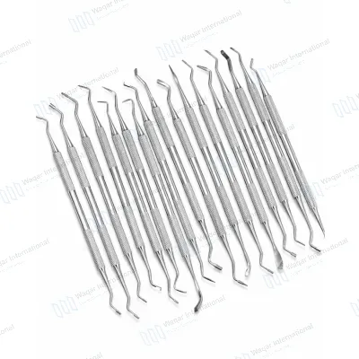 Dental Hygiene Kit Stainless Steel Oral Care Tools Scaler