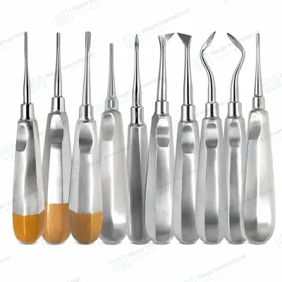 Dental Root Elevators Set 10PCS Stainless Steel Extraction Tools