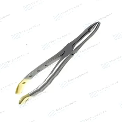 Dental Extraction Serrated Forceps Stainless Steel Tooth Extraction Instrument