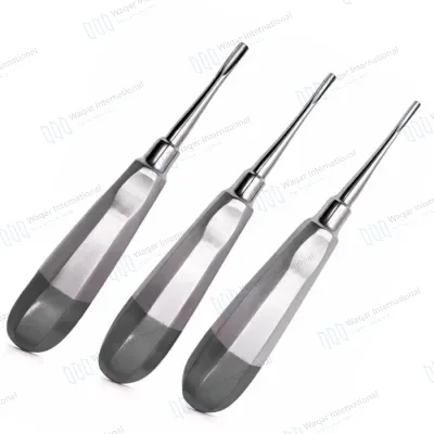 3 PCS Dental Straight Elevator Kit