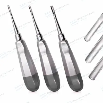 3 PCS Dental Extraction Elevators Set